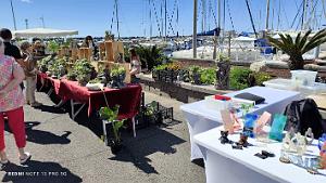 Cap d'Agde - Avant-Ports - 2 Juin 2024 - 13